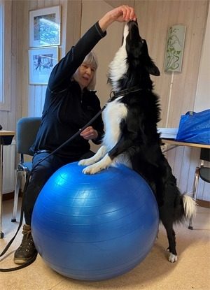 lena_pilates
