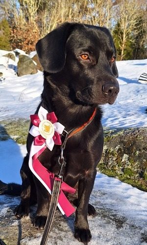 Gunilla_Ewell_Hugo