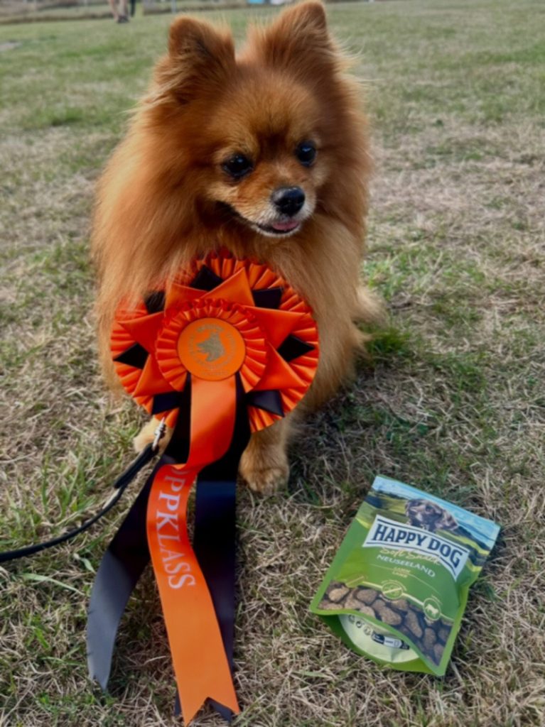 Lotta_Mascot_250907