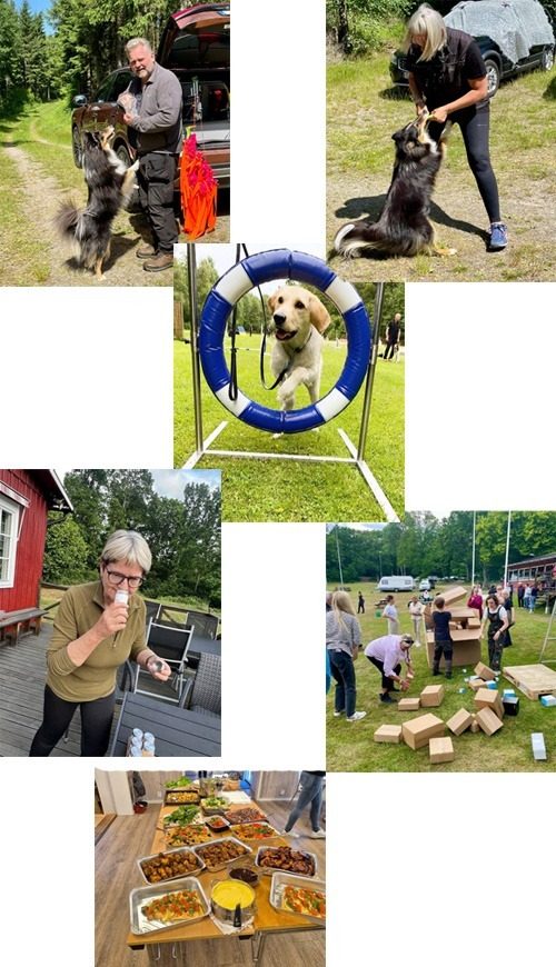 collage_2