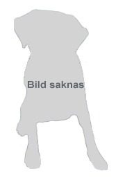 bild_saknas