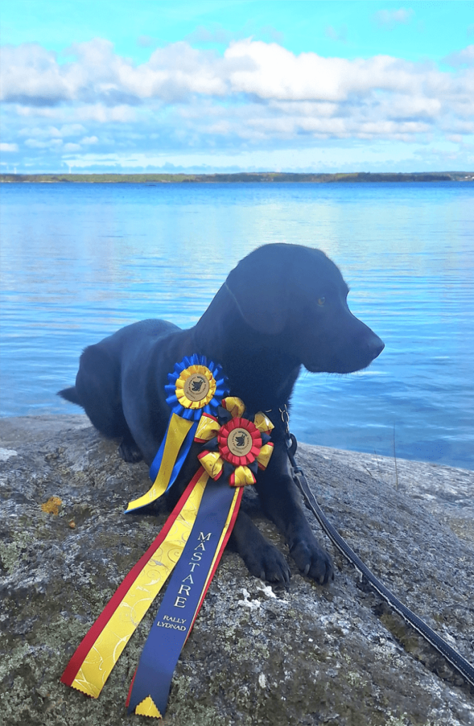 gunilla_hugo_250920