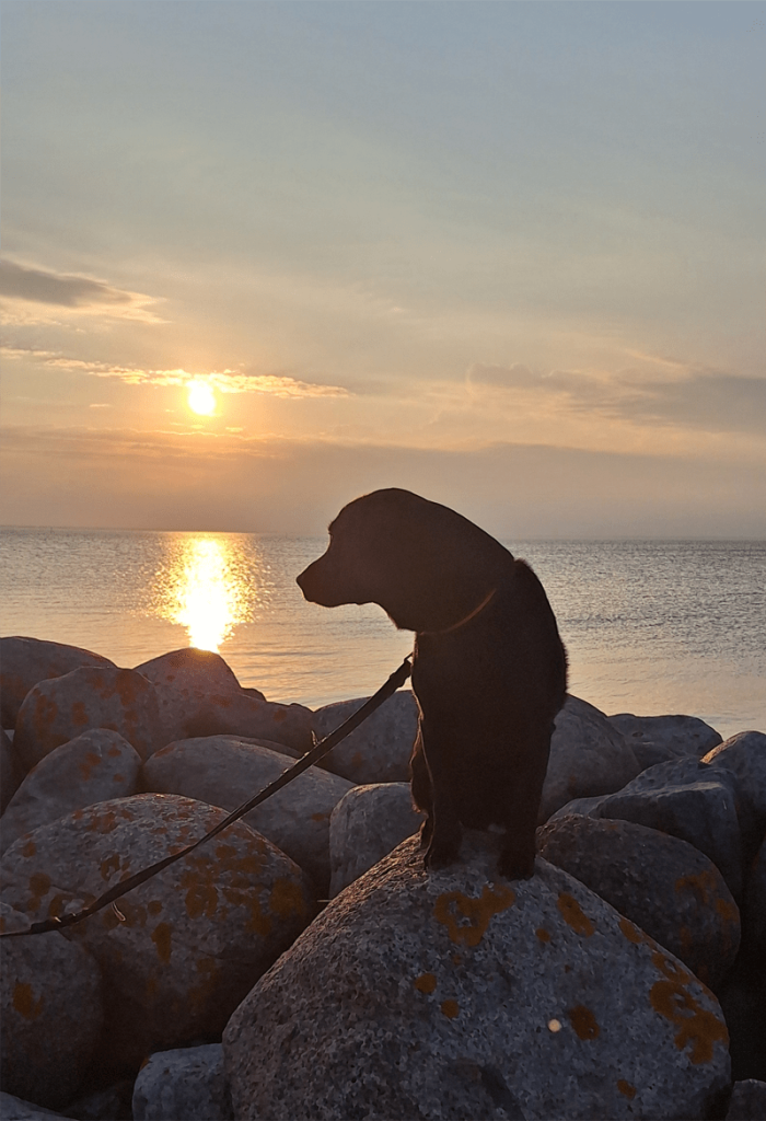 gunilla_hugo_250927