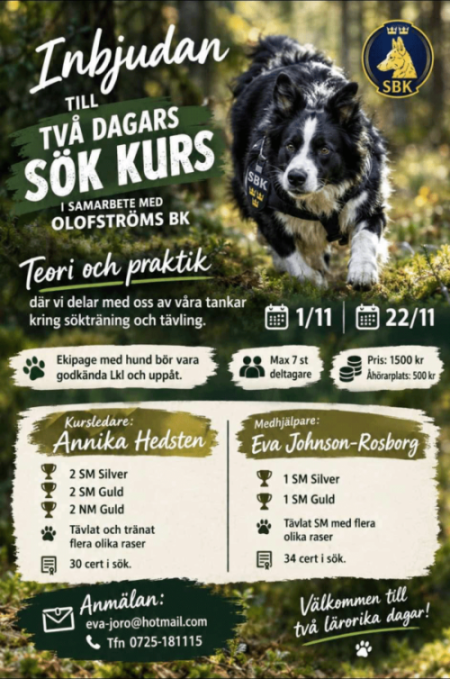 sokkurs_Annika_Eva_2026